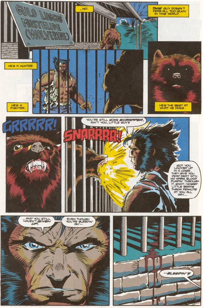 Read online Wolverine (1988) comic -  Issue #43 - 12