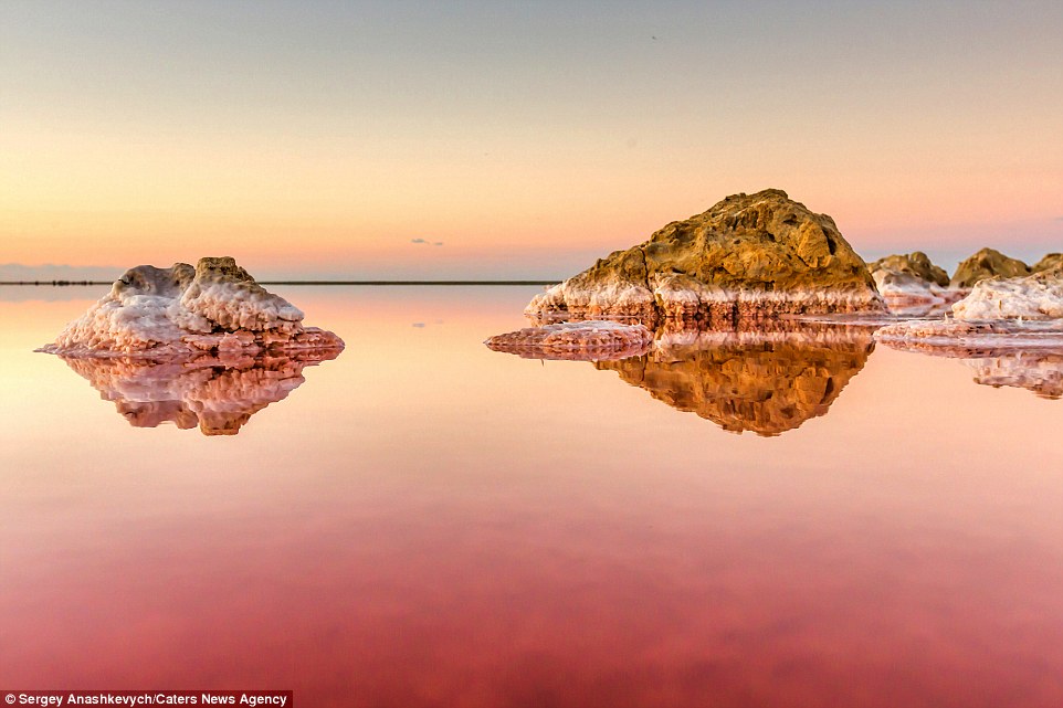 Koyashskoye koyashskoye-salt-lak
