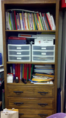 Bookshelf (before)