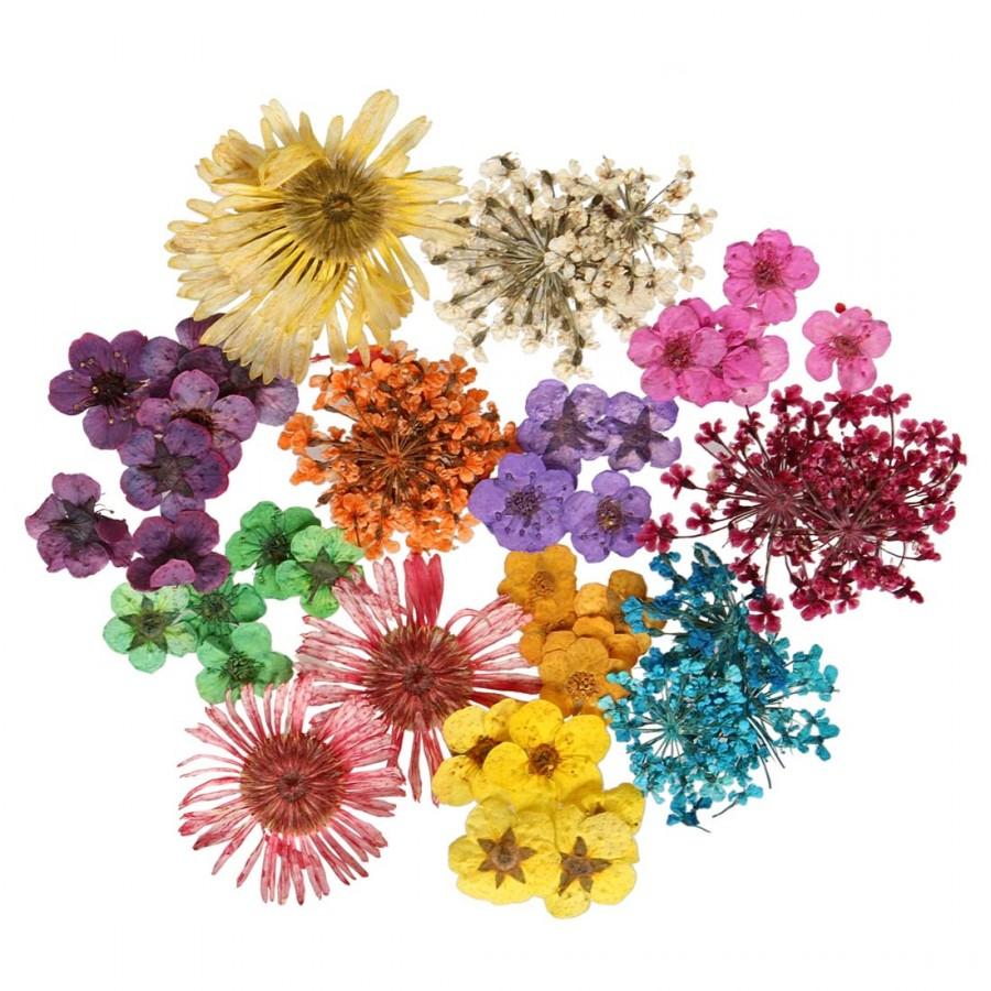 एक भारत, श्रेष्ठ भारत