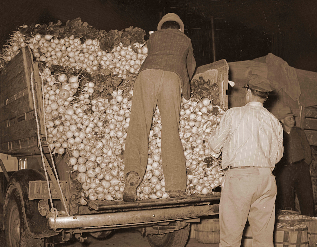 Joyful Public Speaking (from fear to joy) I didn’t just fall off the