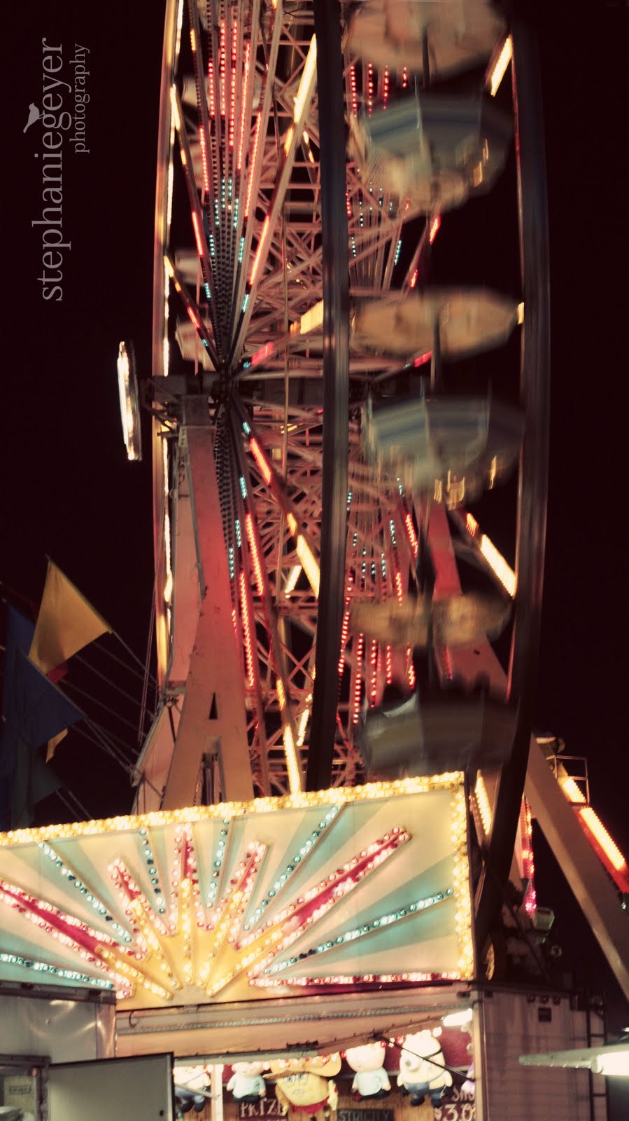 The Painted Chickadee: A pixie-dust spreader on the Tilt-O-Whirl.