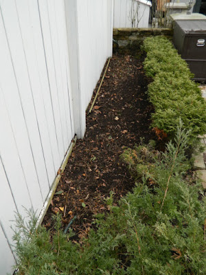 Toronto Summerhill spring garden clean up after  by Paul Jung Gardening Services