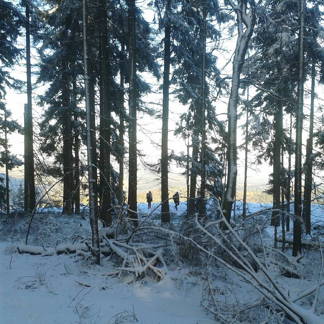 feldberg taunus schnee woodenbild )