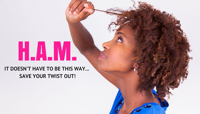 Salvage Your Twist Out Curlynikki Natural Hair Care