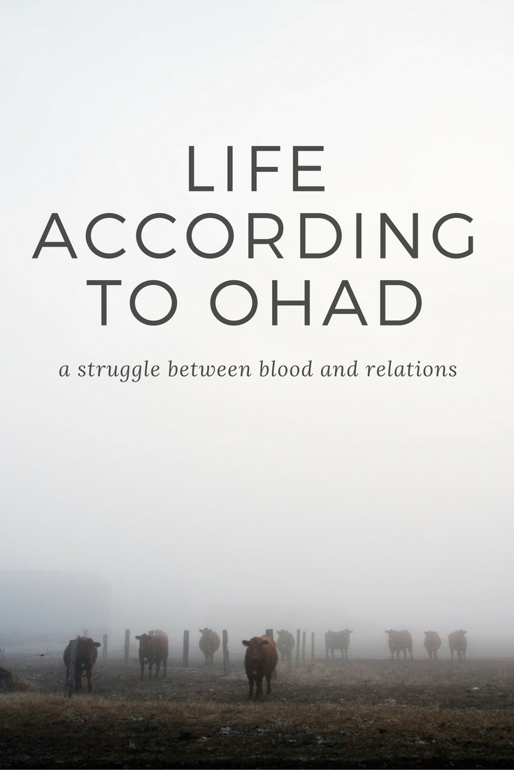 Review Harry Potter Und Das Verwunschene Kind In Hamburg Eine