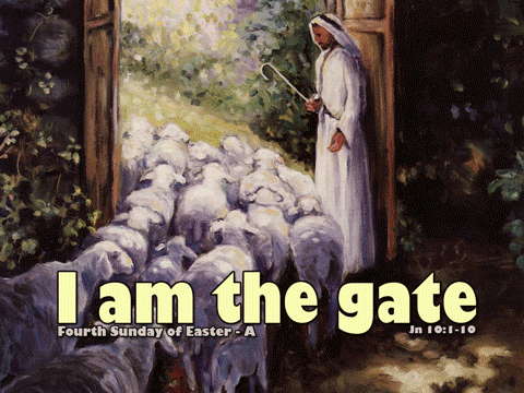 jesus sunday easter fourth gate shepherd supports border acts reading catholic