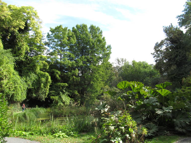 Phylobotanist Germany Trip 2016 Part 4 Gottingen