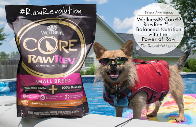 Brand Awareness: Wellness® Core® RawRev™ - Balanced Nutrition with the Power of Raw