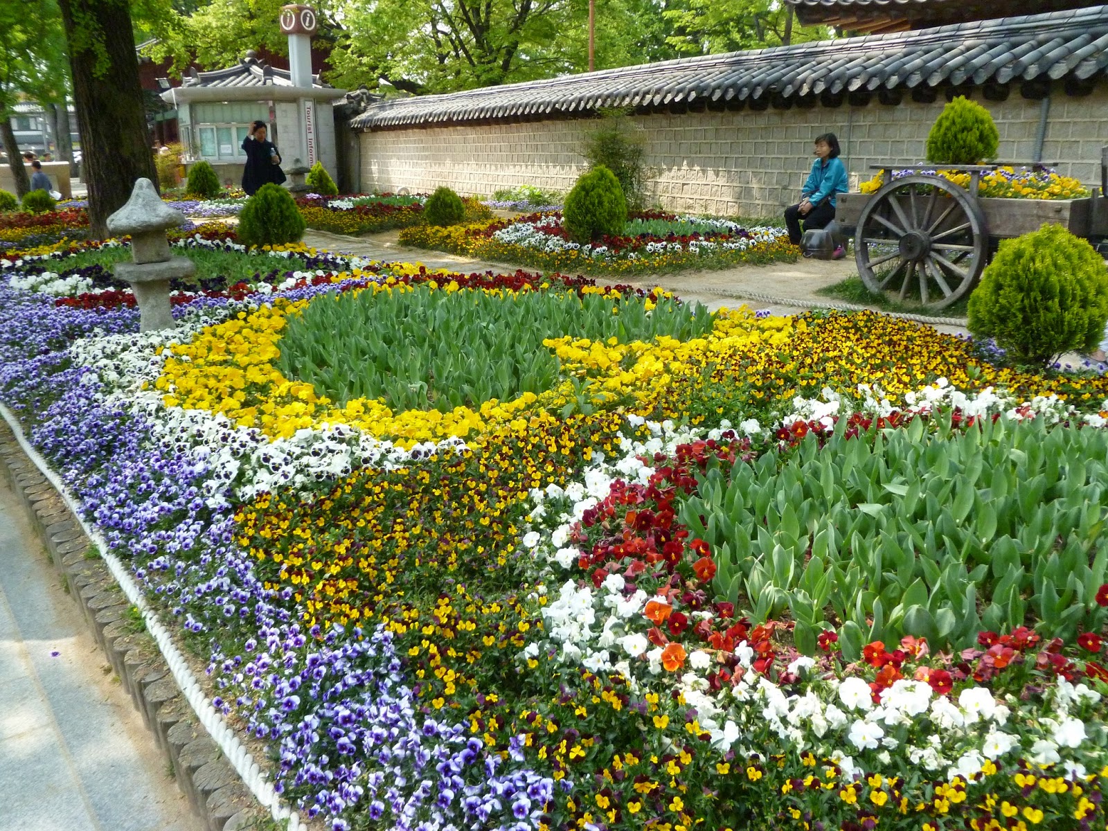 Lucy's Korea Blog! Jeonju and Korean Culture