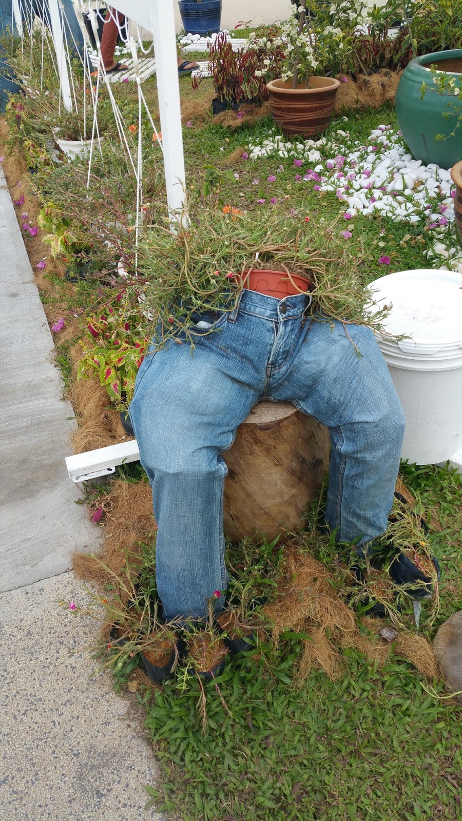 Xing Fu JEANS AS PLANTERS