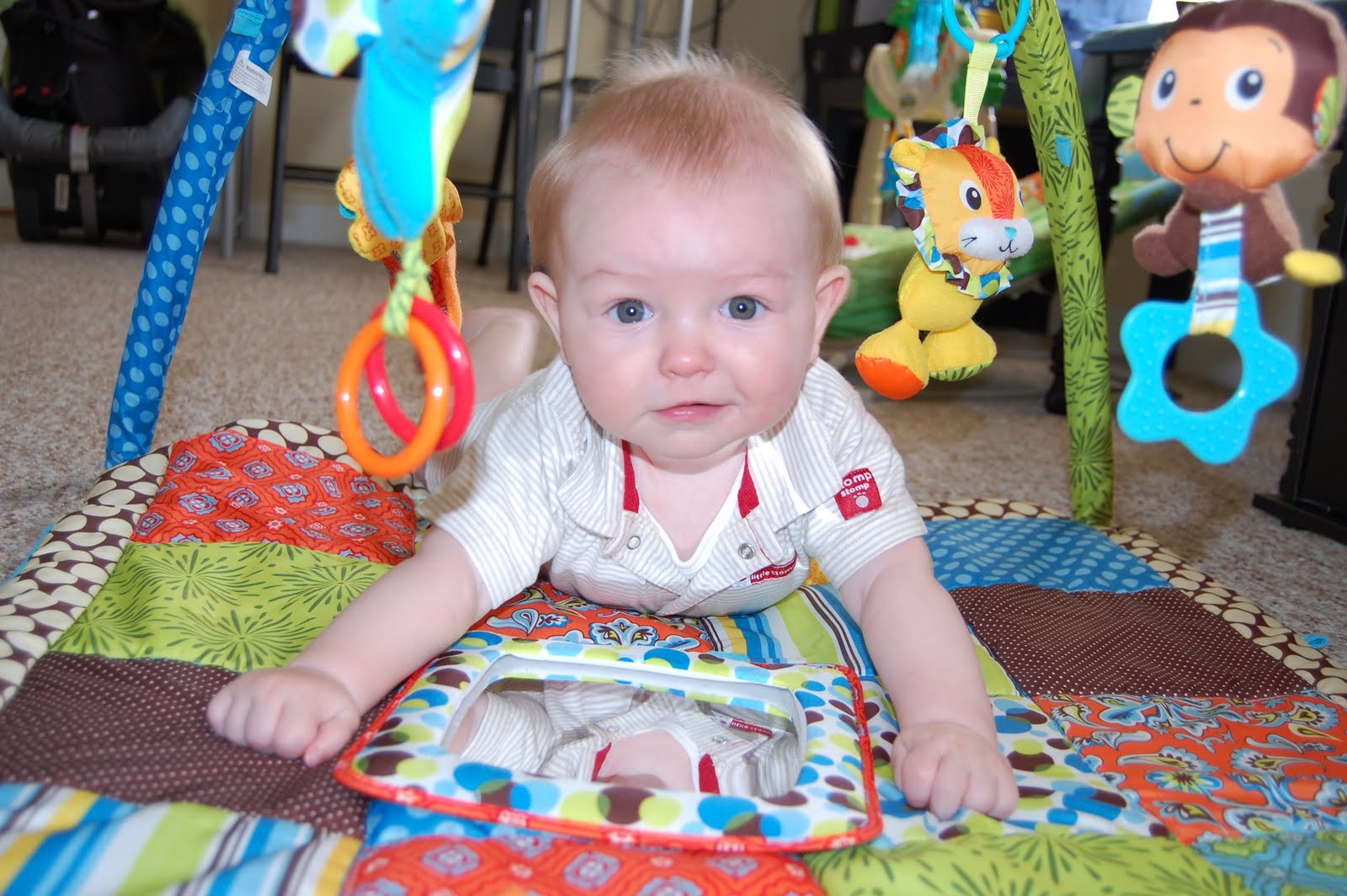wilkerson-weekly-6-7-month-check-up