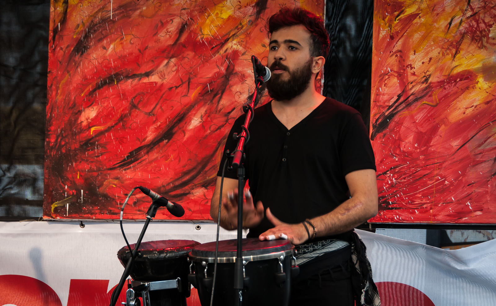 Hansevalley Hansepersonality