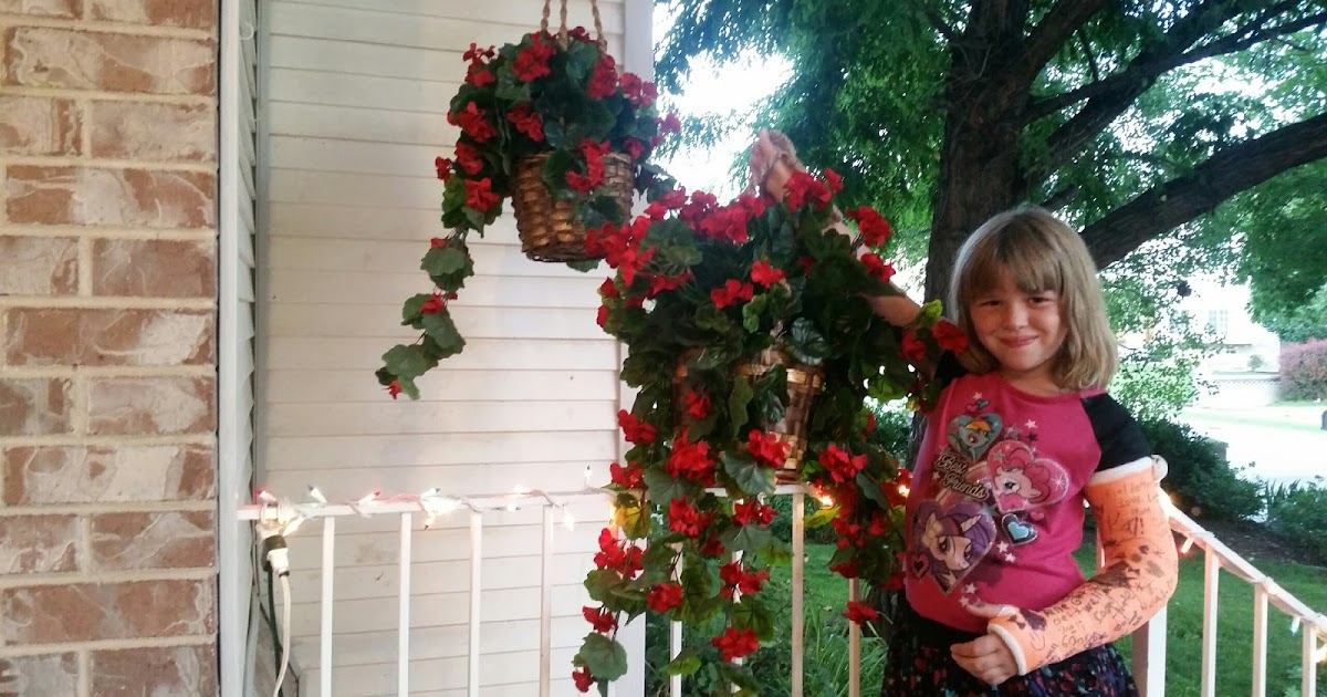 Twelve Makes a Dozen Museum Trees and Silk Flowers