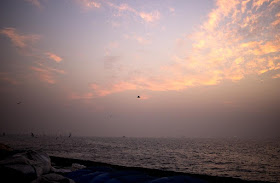 birds, dawn, feeding, arabian sea, sassoon docks, mumbai, india, clouds, sky, 