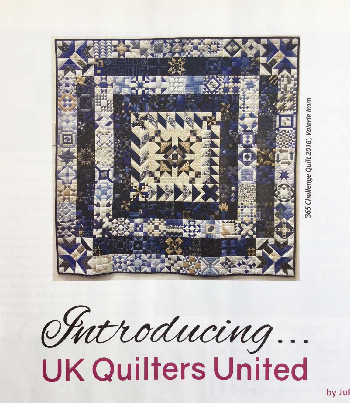 Fabadashery Longarm Quilting 365 Challenge quilt by Valerie Imm