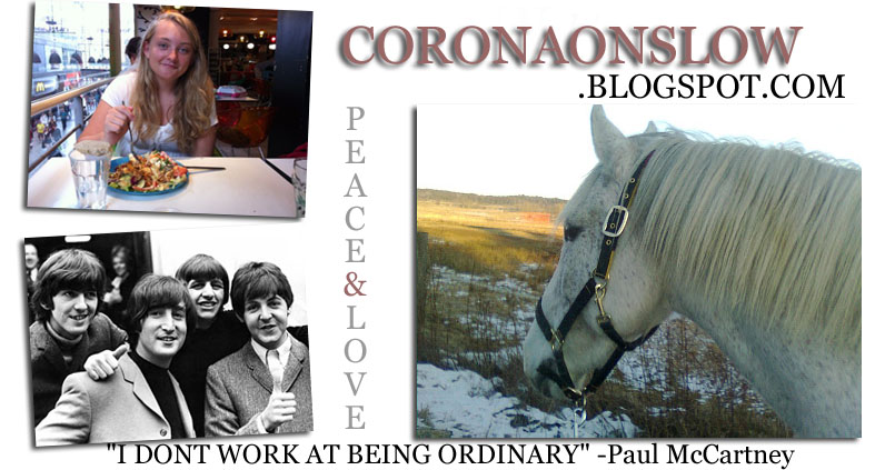 www.coronaonslow.blogspot.com