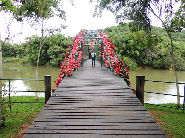 NA ESTRADA DA VIDA.