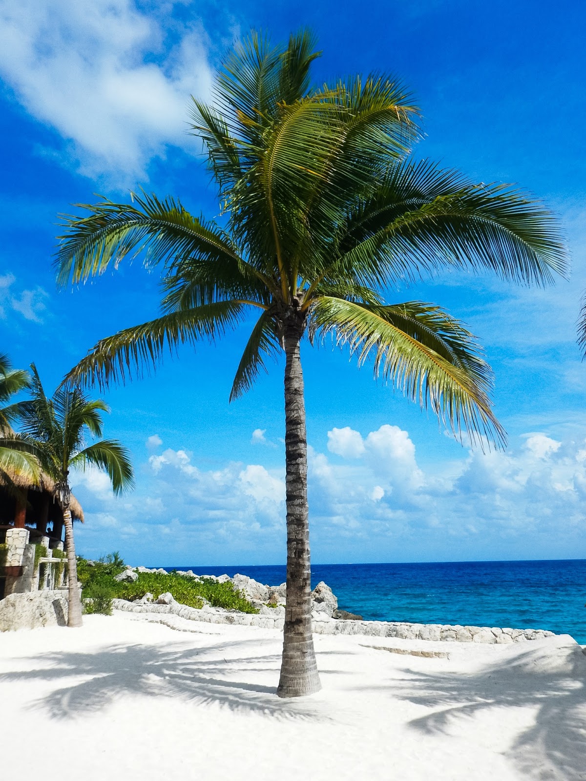xcaret