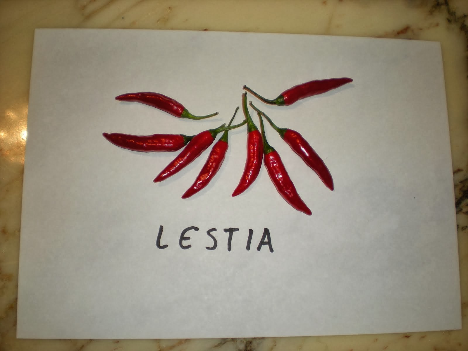 Lestia
