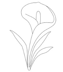 flores bordar dibujos colorear imprimir plantillas flower patterns alcatraz calas pintar mano bordados drawings embroidery dibujar flowers dibujo alcatraces rosas