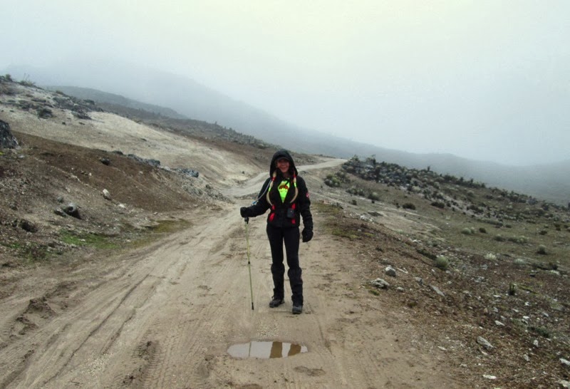 En La Cima Rosa Westermeyer Pico Las Pailas 4640 msnm