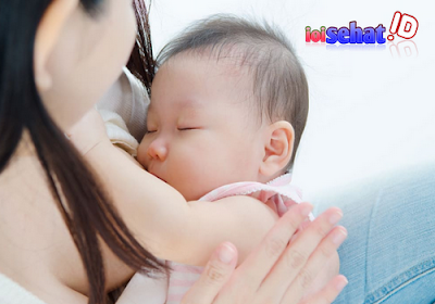 cara alami memperbanyak air susu ibu, cara memperbanyak ASI, pelancar ASI, pelancar air susu ibu, ioisehat, portal kesehatan, life insurance cara alami memperbanyak air susu ibu atau ASI dengan benar bisa anda coba agar air susu ibu banyak agar air susu ibu cepat keluar setelah melahirkan