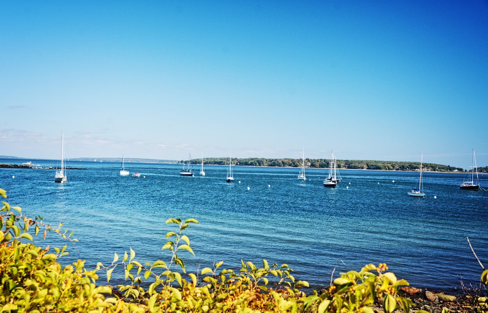 My World in Pennsylvania and Beyond Casco Bay Maine