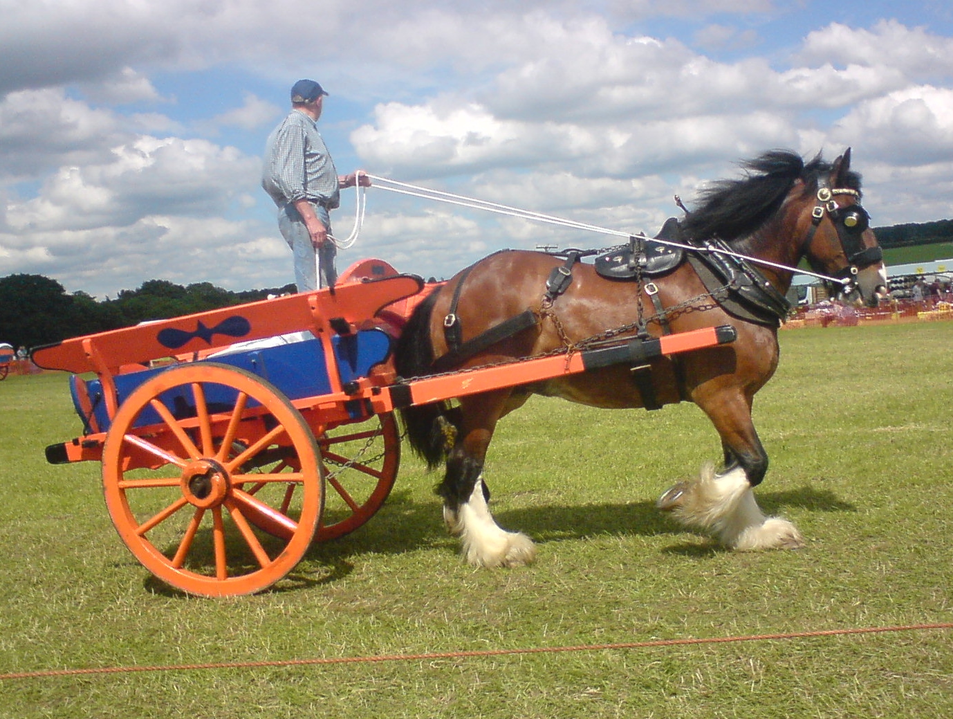 Chestnut Heartbeats Docking Horses' Tails