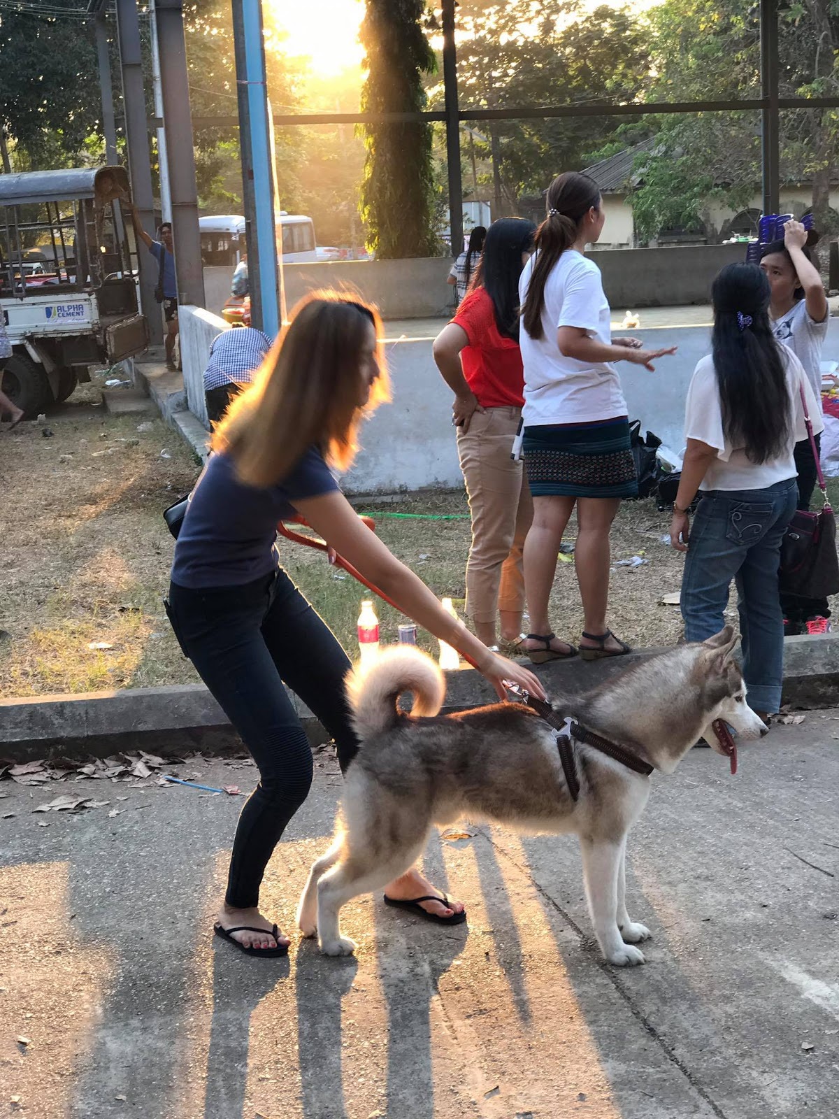 M Seng Lu and Her Pet Husky Dog Playing At The Park