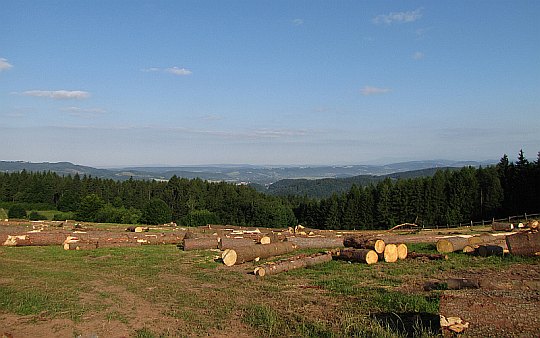 Wzgórza Lewińskie. Panorama w kierunku Dusznik-Zdroju.