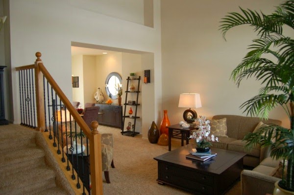 Palm trees for the Living room