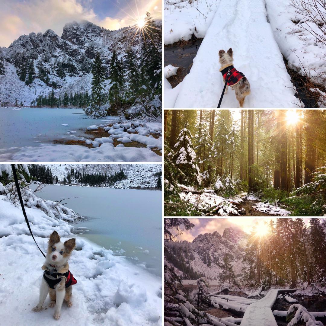 dog friendly winter hikes