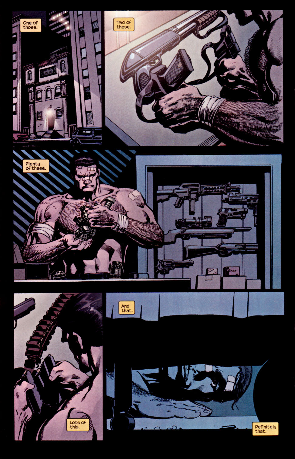 The Punisher (2001) Issue #25 - Hidden #02 #25 - English 17