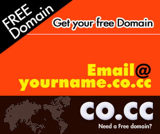Free co.cc Domain