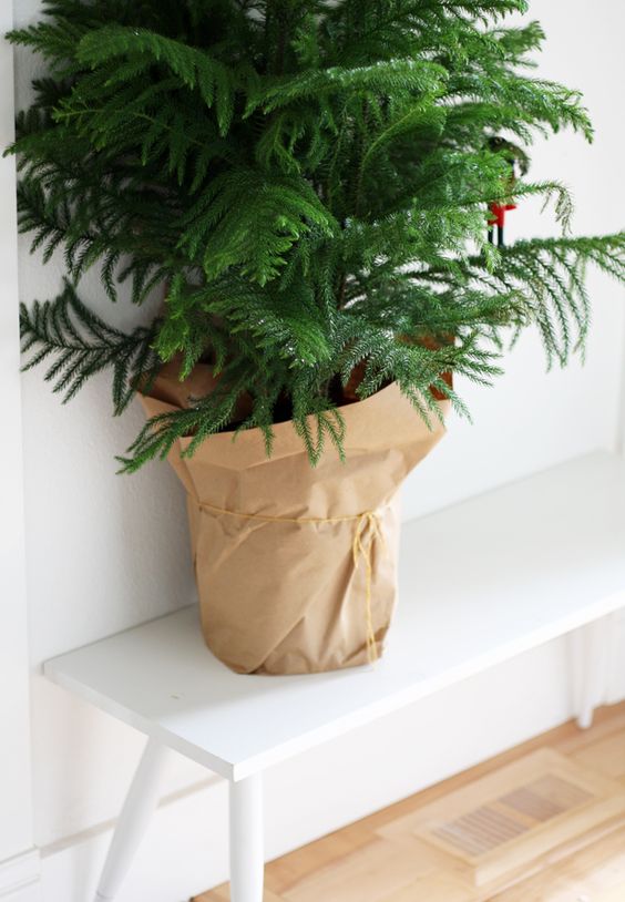 Decoração e Invenção*: Esconder Pé da Árvore de Natal com Papel