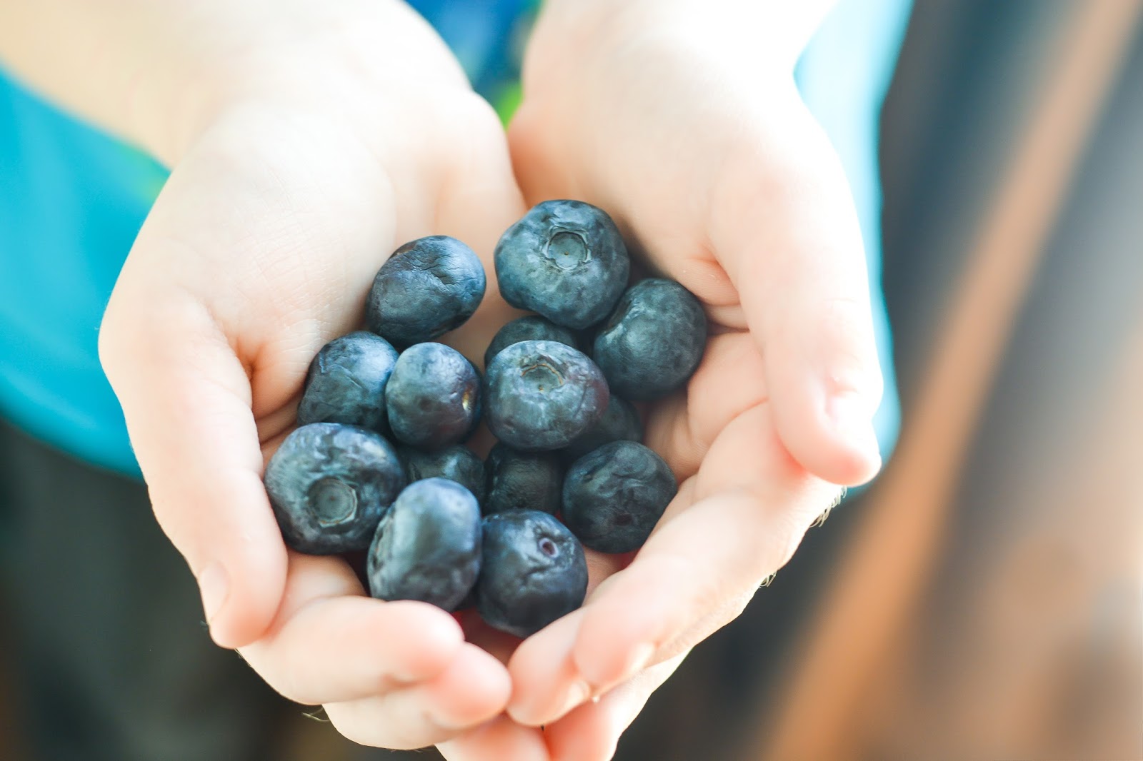 Blueberries for Good Health