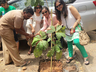 JSRA - Tree Plantation, Juhu Mumbai