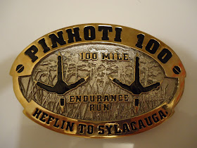 Image result for pinhoti 100