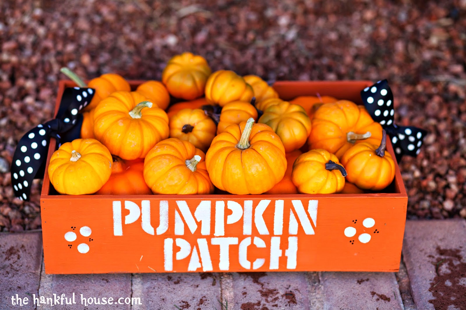 DIY Pumpkin Crate With The Hankful House - Taryn Whiteaker.