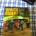 A First Look at the New White Dwarf