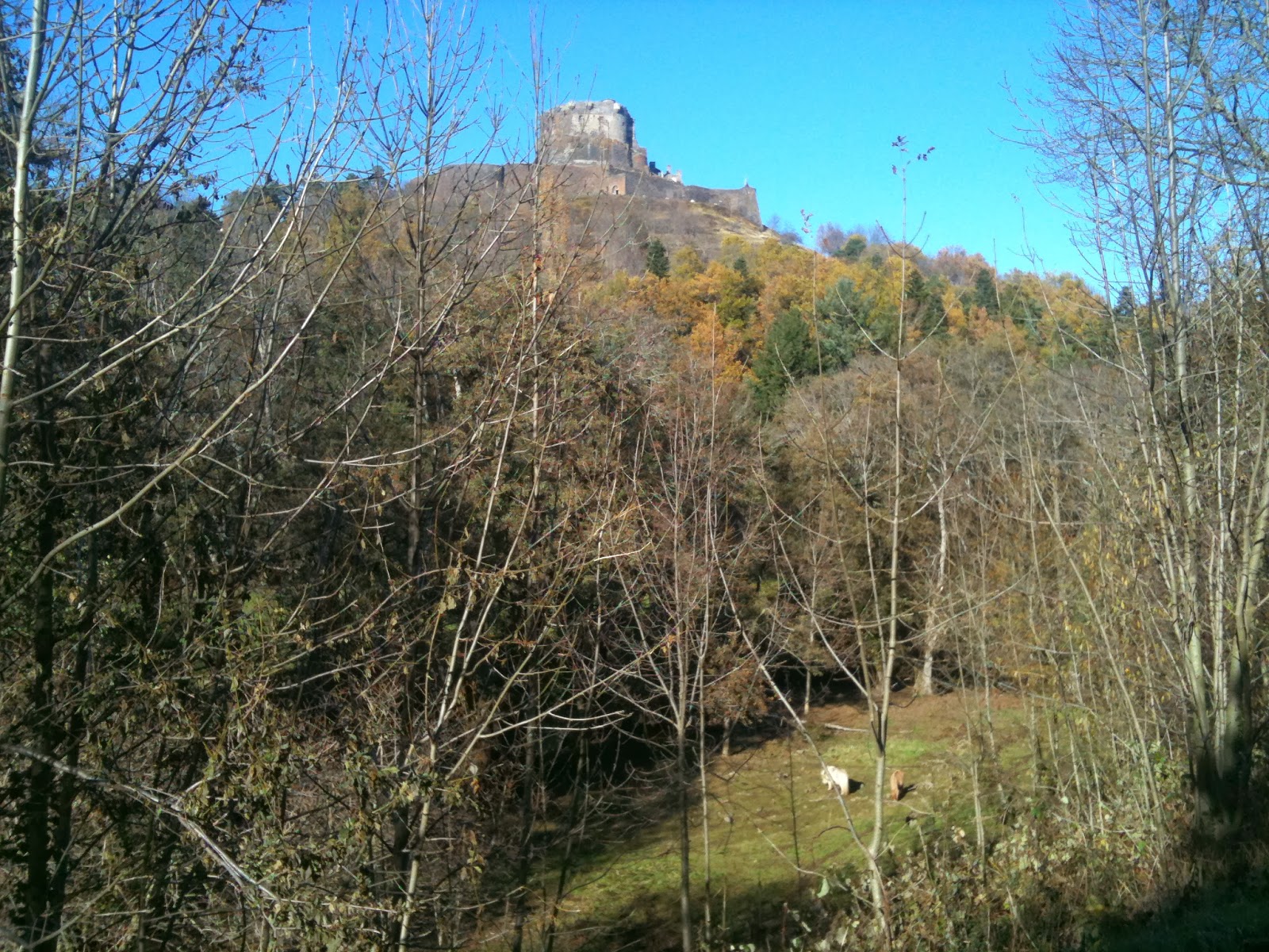 Ces Doux Moments Ce Petit Chemin