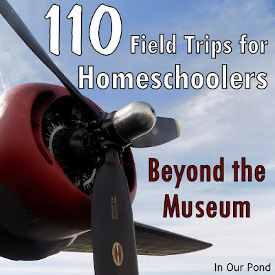 Beyond the Museum- 110 Field Trip Ideas from In Our Pond