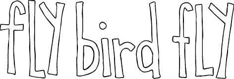 Fly Bird Fly Studio