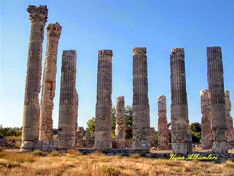 Büyütmekiçin Tıkla