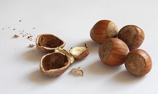 fountoukia-Hazelnut fountoukia-Hazelnut