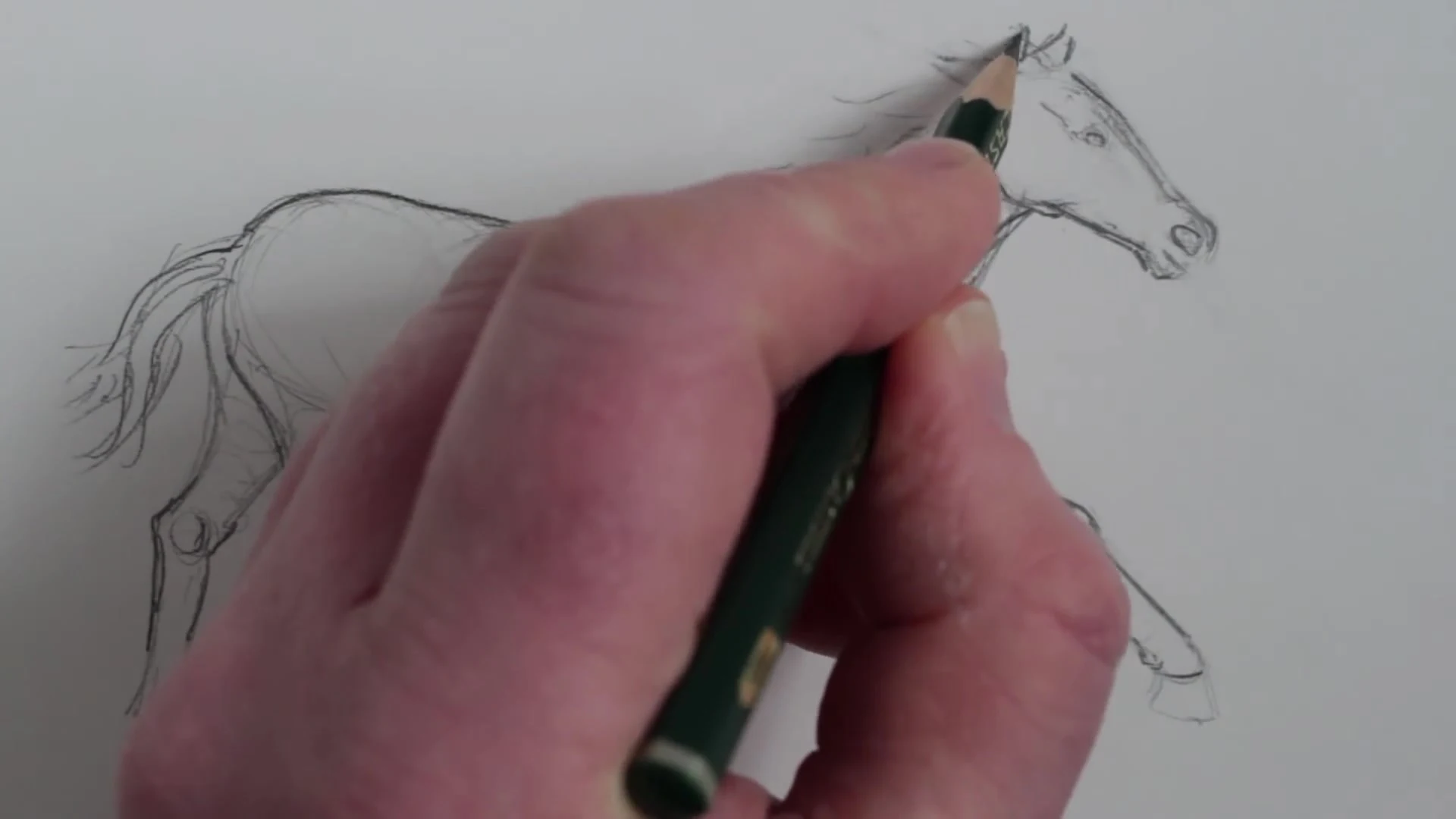رسم حصان بالرصاص