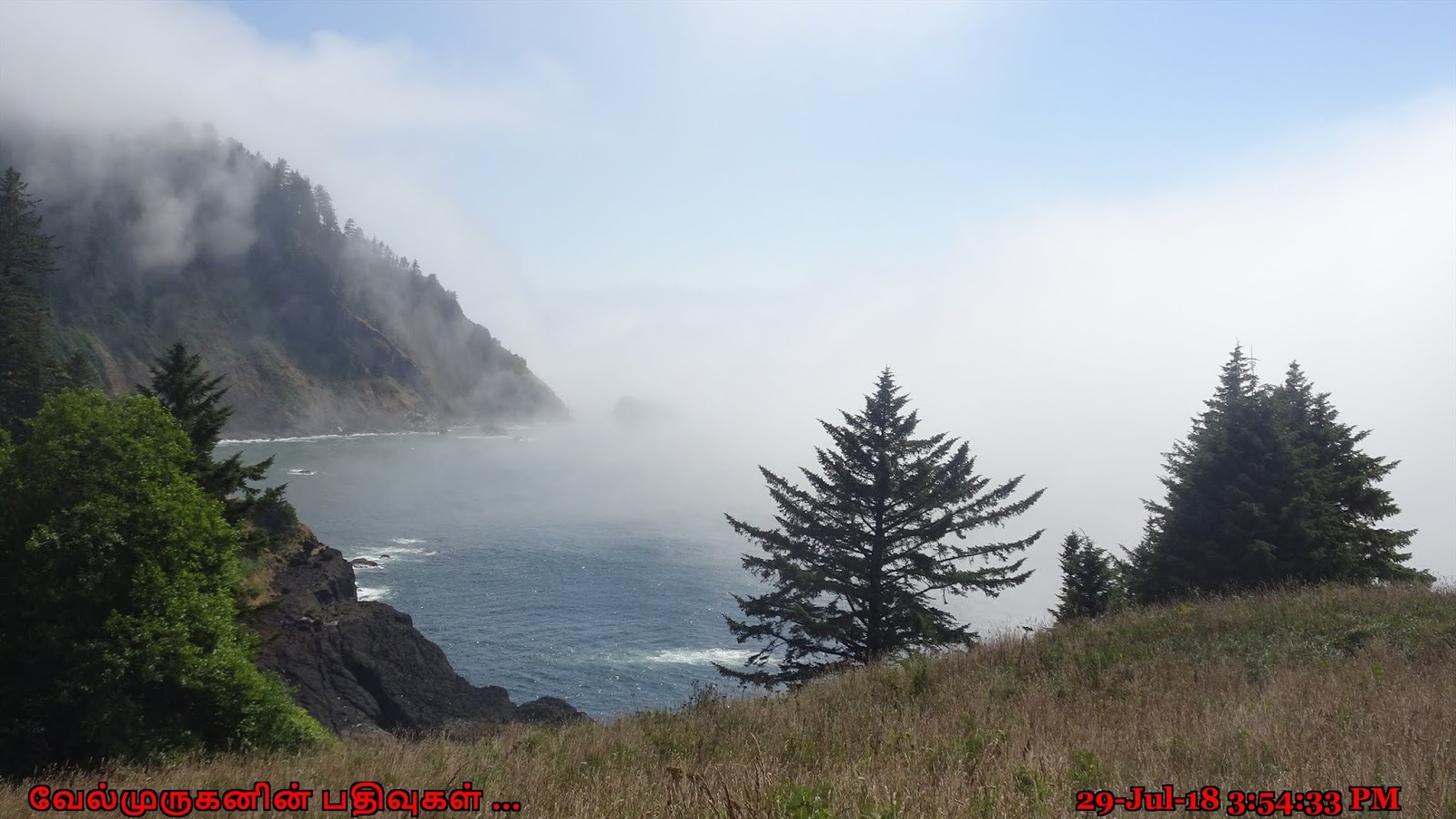 Hart's Cove Hike Oregon Exploring My Life