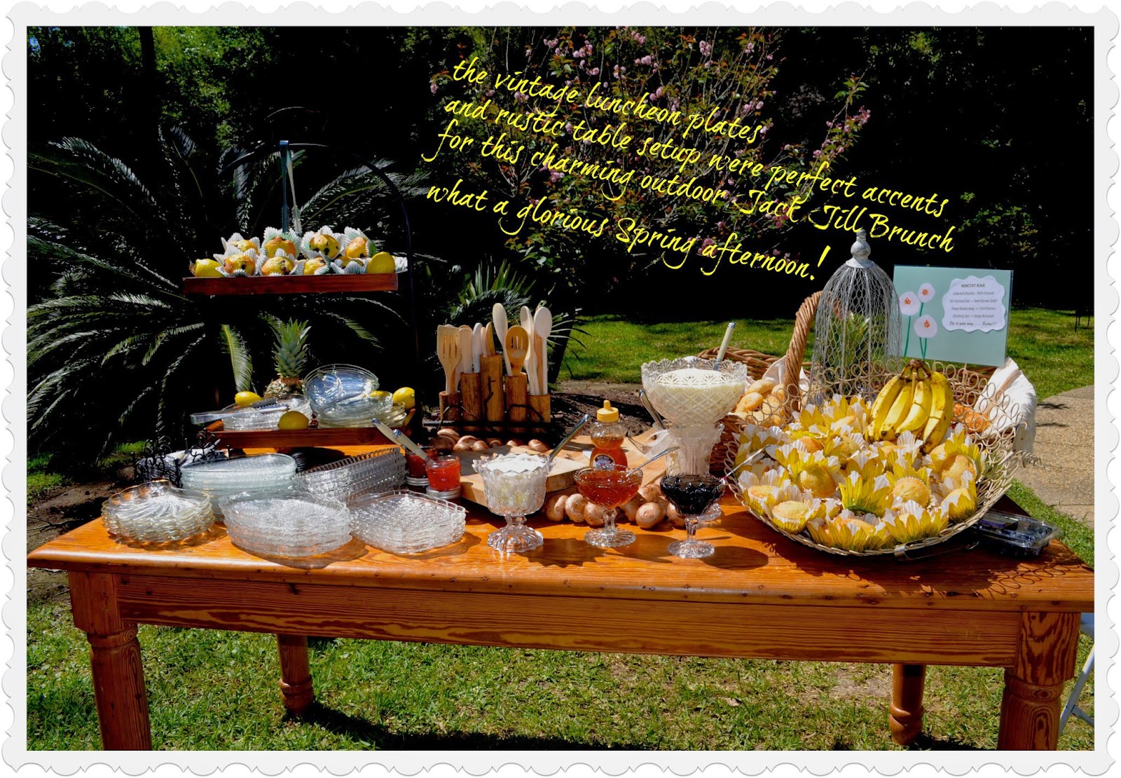 Cuisinetc A Culinary Journey Via Catering Jack Jill