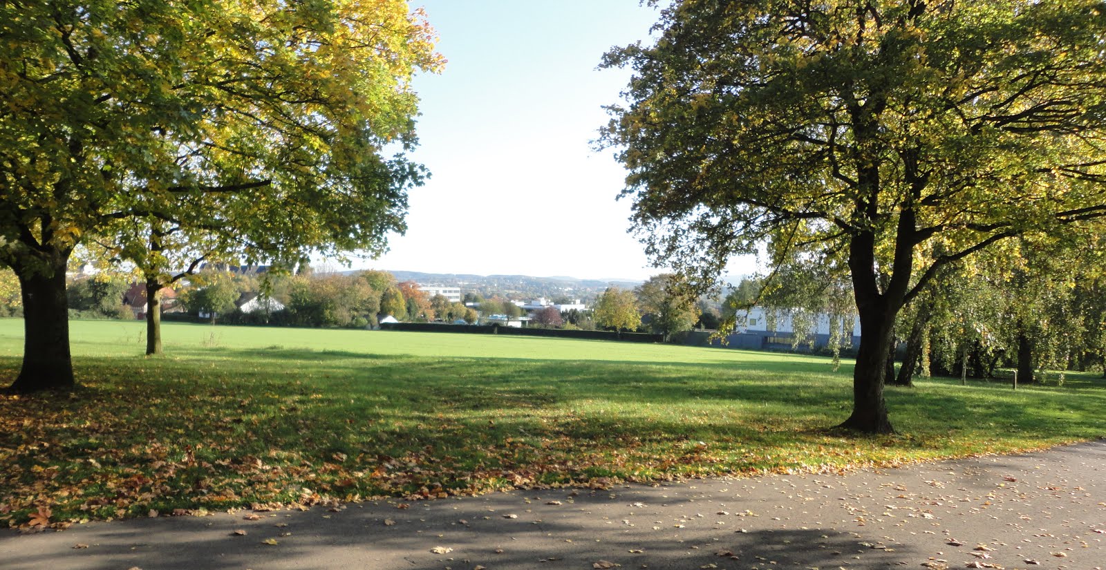 Forschung Selen Heilt